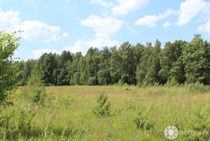 Продажи участков земли на Рублевке и Новой Риге за лето выросли в полтора раза
