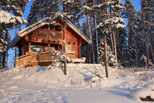 Спрос на новогоднюю аренду коттеджей в Подмосковье упадет на 15%