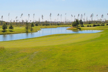 В премиальных поселках Подмосковья стали чаще покупать участки, чем коттеджи