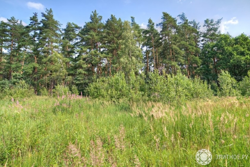 На Рублевке продали 193 гектара земли всего за 411,5 млн рублей