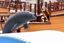 В премиальном проекте «Суббота» появилась «Бухта радости»