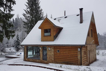 Самые дорогие коттеджи на Новый год сдают в Московской и Ленинградской областях