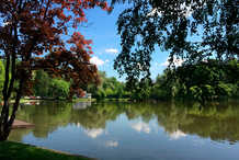 В Подмосковье значительно упало предложение коттеджей дороже 1 млрд рублей