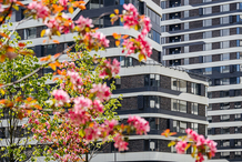 Главную улицу квартала «Символ» назвали в честь Крузенштерна