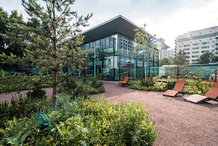 Стеклянный куб с деревом буцида станет частью школы в ЖК Moments