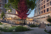 72% россиян хотят видеть во дворах вечнозеленые растения