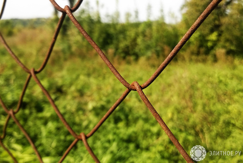 Хлам да бурьян: власти всерьез занялись проблемой неиспользованных участков