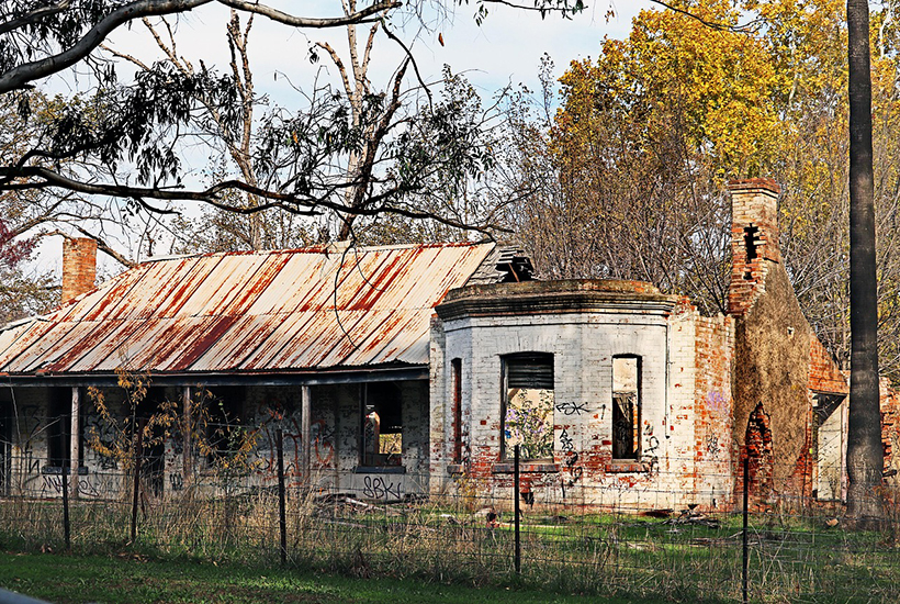 Хлам да бурьян: власти всерьез занялись проблемой неиспользованных участков